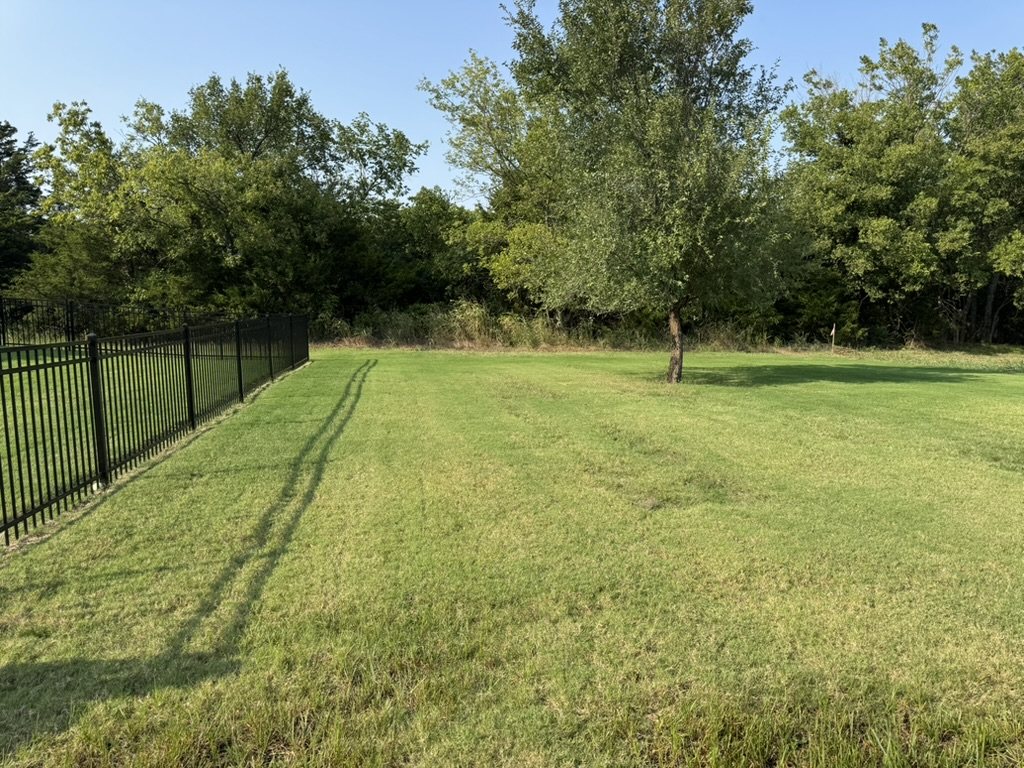 Mowed natural-grass lawn beside a black metal fence and mature trees