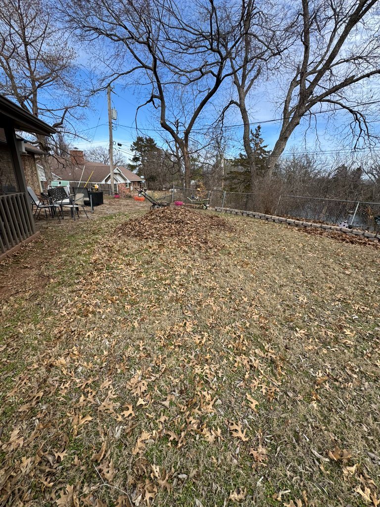 Fallen leaves gathered in a residential yard before removal