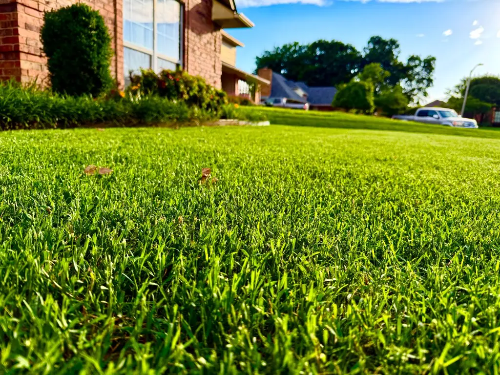 Natural-grass lawn beside a brick house and shrubs